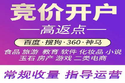 SEM推广实战：成功案例剖析